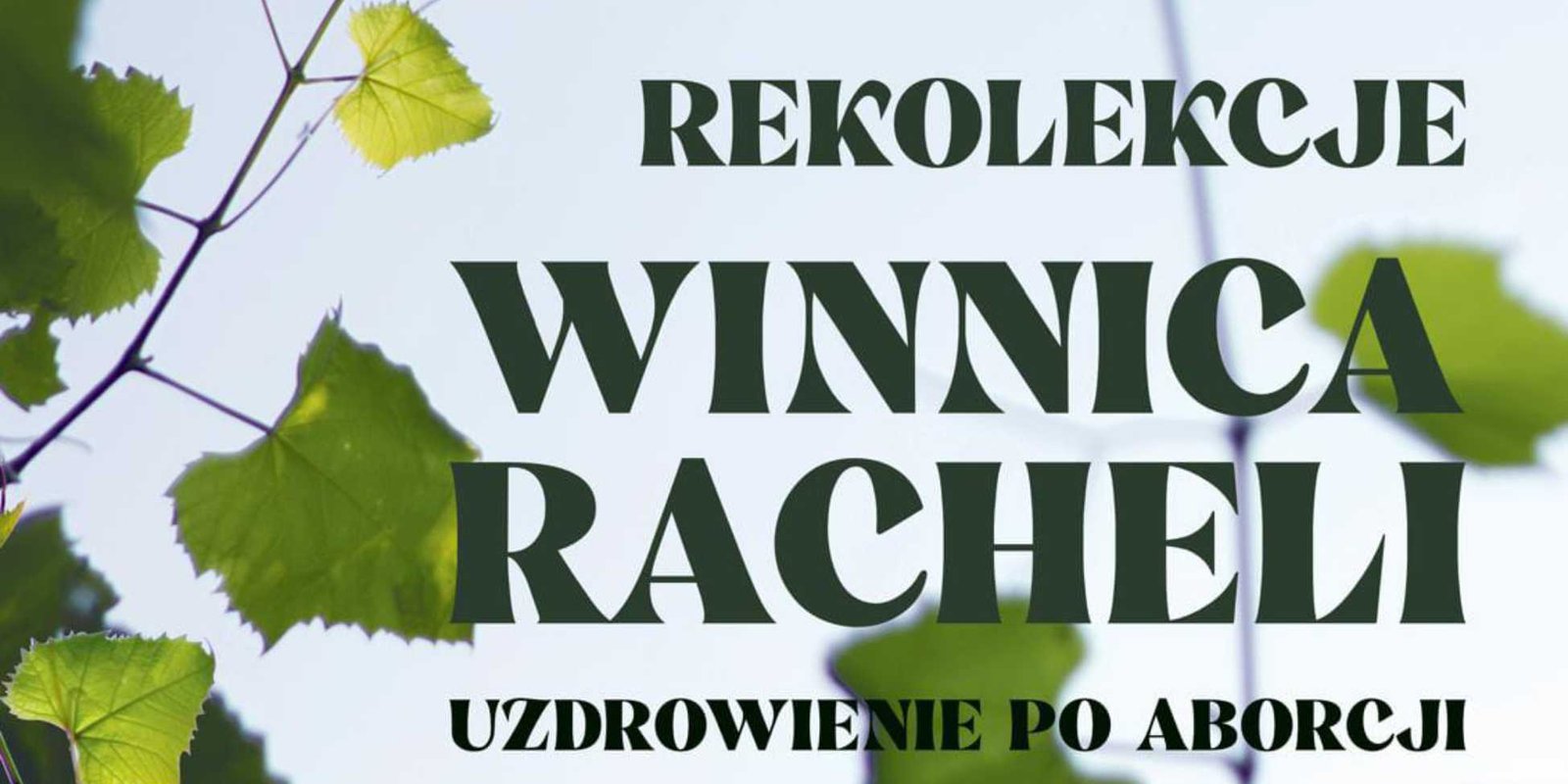You are currently viewing REKOLEKCJE UZDROWIENIE PO ABORCJI – WROCŁAW, 23-25.10.2026 R.